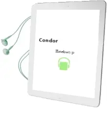Descargar AudioLibro Condor de Esteban P. año 1990